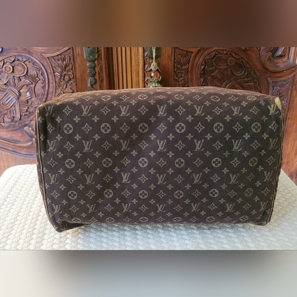 LV Denim Speedy✨FREE LV WALLET W/PURCHASE✨ - Picture 4 of 13